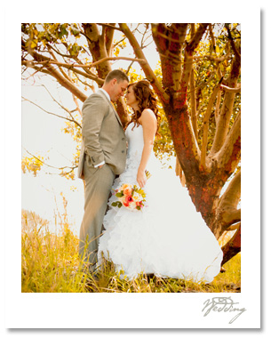 Kenny and Tessa's picture perfect wedding at Roche Harbor
