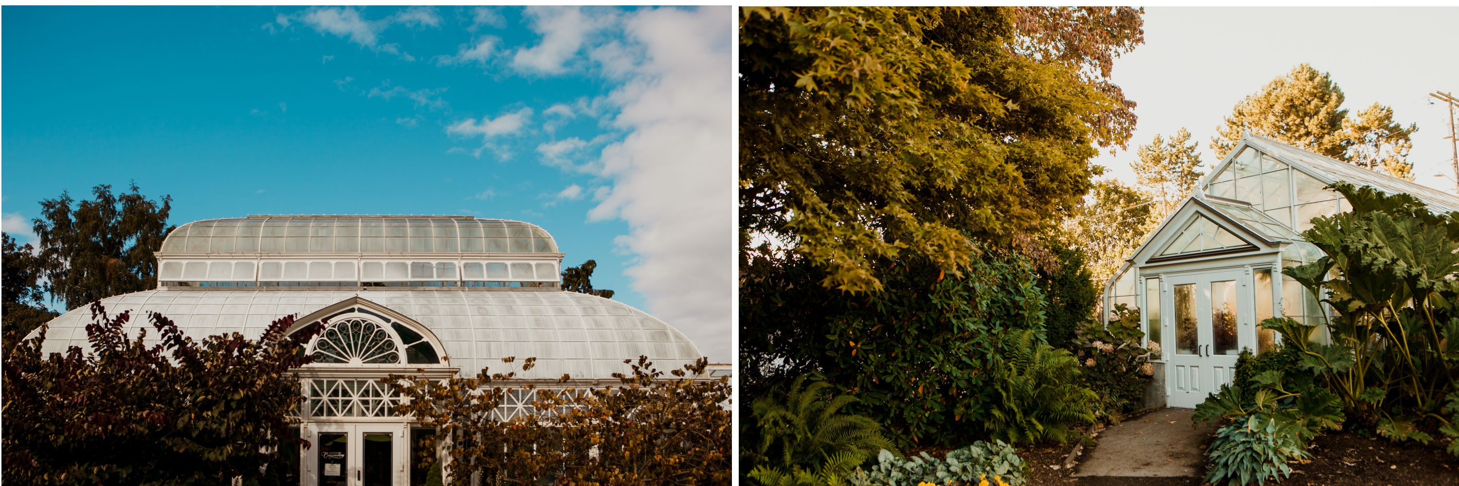 seattle engagement photo at conservatory in volunteer park
